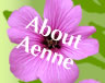 About Aenne
